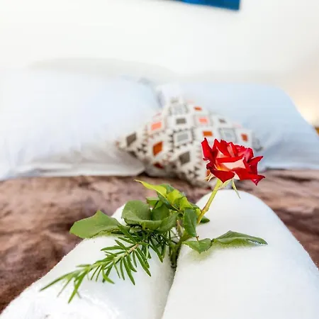 Apartament Zrno *